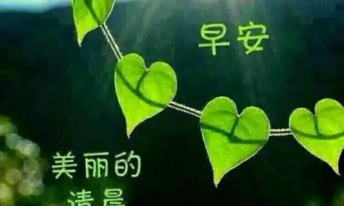 海外投腾片是激素药吗-权威海外投腾片多少钱一盒平台,分享专业海外投腾片哪里可以买知识_海外投腾片图片网